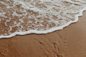 écume de mer sur le sable